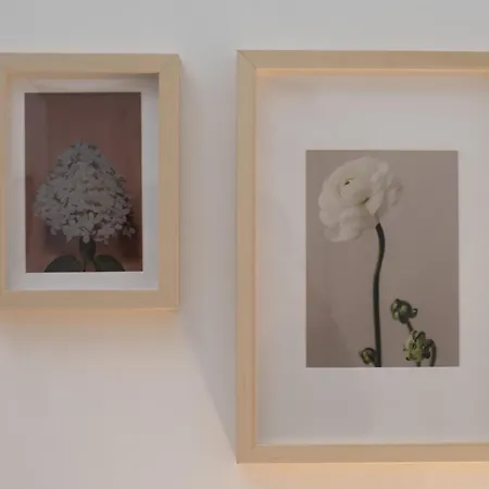 Romantica Laterano Apartment Rome