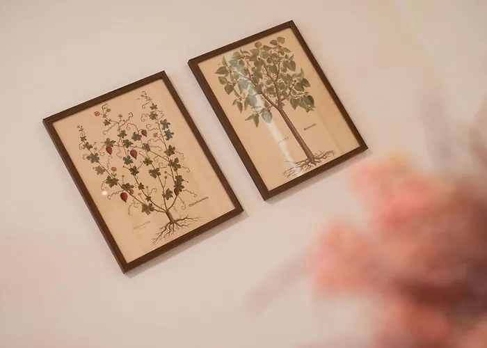 Romantica Laterano Апартаменты Рим