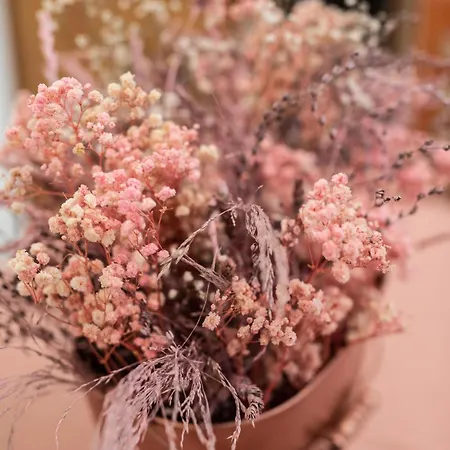 Romantica Laterano * روما