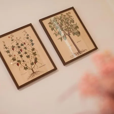 Romantica Laterano شقة روما